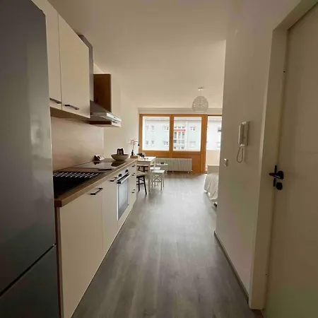 Loft Mit Balkon & Parkplatz, Naehe Basel شقة
